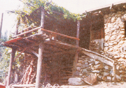 image0017.gif