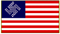 americanaziflag.gif
